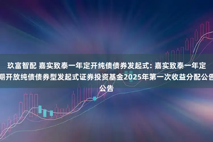 玖富智配 嘉实致泰一年定开纯债债券发起式: 嘉实致泰一年定期开放纯债债券型发起式证券投资基金2025年第一次收益分配公告