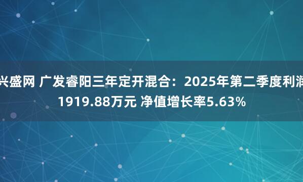 兴盛网 广发睿阳三年定开混合：2025年第二季度利润1919.88万元 净值增长率5.63%